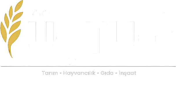 ÜÇTUĞ Logo