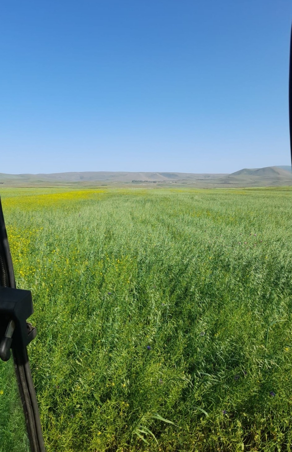 Tarım faaliyetleri yürütülen arazi